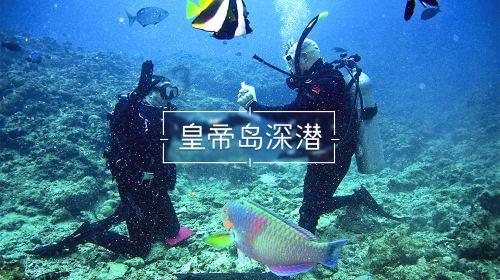 拿破仑：全面战争