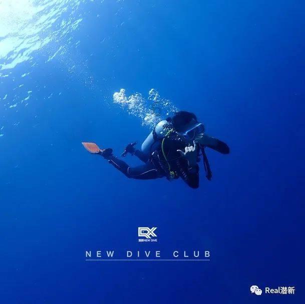 国际武林绰号级别-2023年首批赫号戴花武林人物