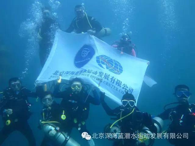 蜜蜂向上跳