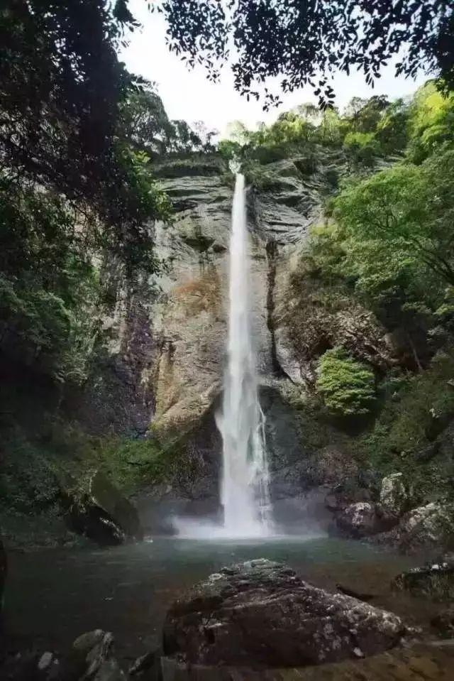 种完牙多久可以吃饭